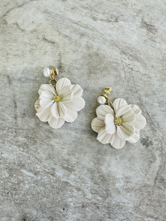 Bloom into Fall